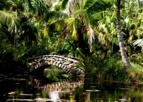 A stone bridge arches over a tranquil pond, surrounded by lush green palm trees and dense foliage.